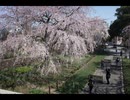 2003筏師の歩いた道
