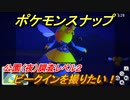 ポケモンスナップ　ビークインを撮りたい！公園（夜）調査レベル２　【New ポケモンスナップ】