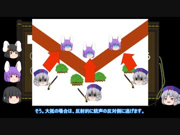 【ゆっくり解説】陣形に関する一考察（包囲の効果篇）