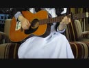 【うちのメイドさんが】ハロ／ハワユ　演奏してみた【アコースティックギター】