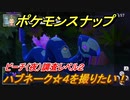 ポケモンスナップ　ハブネーク☆４を撮りたい！ビーチ（夜）調査レベル２　【New ポケモンスナップ】