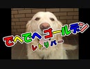 でへでへ ゴールデンレトリバー 【初音ミク】