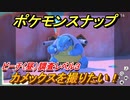 ポケモンスナップ　カメックスを撮りたい！ビーチ（昼）調査レベル３　【New ポケモンスナップ】