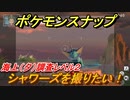 ポケモンスナップ　シャワーズを撮りたい！海上（夕）調査レベル２　【New ポケモンスナップ】
