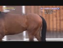 ２歳馬のＸＸＸをゆかりんがナニする番組 part.1