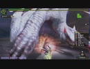 【MHF-Z】極み駆けるナルガクルガ 太刀 ８分１秒５０
