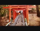 【ポケモンGO】神社の見習いロコン【ポケモンスナップ】