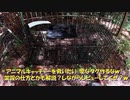 （箱わな再配備）変態忍者の、有害鳥獣駆除従事活動記・その１５５