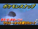 ポケモンスナップ　ウリムー☆４を撮りたい！雪原（昼）調査レベル３　【New ポケモンスナップ】