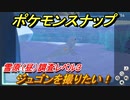 ポケモンスナップ　ジュゴンを撮りたい！雪原（昼）調査レベル３　【New ポケモンスナップ】
