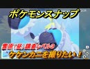 ポケモンスナップ　ケケンカニを撮りたい！雪原（昼）調査レベル３　【New ポケモンスナップ】