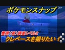 ポケモンスナップ　クレベースを撮りたい！雪原（夜）調査レベル２　【New ポケモンスナップ】