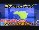 ポケモンスナップ　アマルルガを撮りたい！雪原（夜）調査レベルMAX　【New ポケモンスナップ】