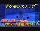 ポケモンスナップ　クマシュンを撮りたい！雪原（夜）調査レベルMAX　【New ポケモンスナップ】