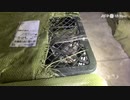 窒息死も…ペットを箱詰めネット販売に非難噴出 中国