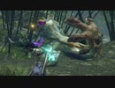 【モンハンライズ その１３】里を襲う厄を払う【ドリルカラマリ】