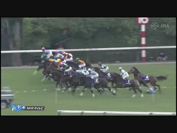 新品クロフネNHKマイルカップSサイズ クロフネ：第6回 NHKマイルカップ「サラブレッドカード 01年