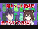 野良猫と学ぶ-陽キャへの道- 講師：剣持刀也先生【にじさんじ切り抜き】