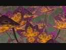 依頼を受けて、ドクロ池の花をじっくり観察してみた
