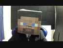 マイクラなんて画面見ないでも余裕やろｗｗ　【マイクラ】【minecraft】