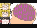 【そうだねアニメ】youtubeで人気No.1だった動画です！！