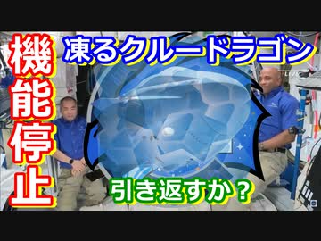 【ゆっくり解説】凍ってしまう！クルードラゴンの歴史解説　後編
