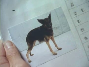 特救指令ソルブレイン 第50話「希望を生んだ魔犬」