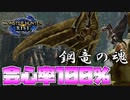 【実況】とにかく攻撃し続けろ!!!!鋼竜の魂パルザダオラ爆誕。【モンスターハンターライズ】