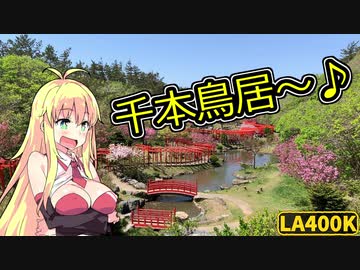 【Vol.8】コペンとマキとゆっくりと。～高山稲荷神社と千畳敷～