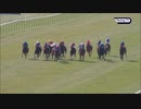 【競馬】2021 2000ギニーS　ポエティックフレア