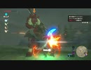 続編出るまでにBotWクリアしときたいマン　part37