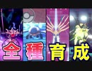 【ポケモン剣盾実況】続全種育成番外編【禁止伝説パーティ】