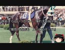 【競馬】ゆっくりさんと未来に語り継ぎたい名馬たち その019【ゆっくり朗読】