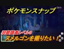 ポケモンスナップ　ヌメルゴンを撮りたい！洞窟調査レベル３　【New ポケモンスナップ】