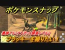 ポケモンスナップ　ブラッキーを撮りたい！遺跡イルミナスポット調査レベル２　【New ポケモンスナップ】