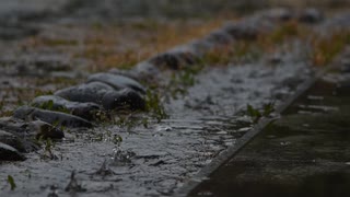【素材】水たまり、雨【癒しASRM】