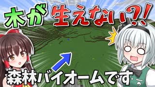 【Minecraft】木が生えない世界で100日間サバイバル！#1【ゆっくり実況】【100days】