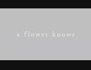 a flower knows