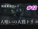 【少年と巨獣が紡ぐ、新たなる神話】人喰いの大鷲トリコ　＃12