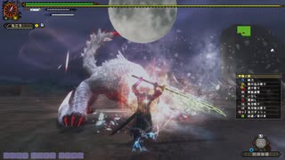 【MHF-Z】極み駆けるナルガクルガ 太刀 ８分４６秒４３ 無被弾