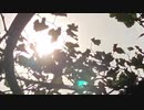 無条件の波動３９６　～愛の波動を感じて～