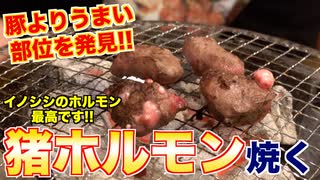 【新発見】イノシシのホルモン豚より美味いです!!