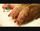 【１５】カヤックフィッシング　釣れた魚と王のタケノコの味