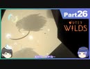 【ゆっくり実況】ムラいちがOuter Wilds Part26