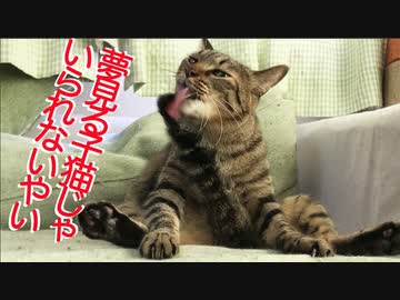 ザ・PunkでRockな次男坊