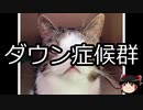 【ゆっくり朗読】ゆっくりさんと不思議な病気 その350