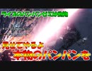 【実況】ライズからモンハンをはじめた皆さんへ。これが「本物」のパンパンゼミです【MHWIB】
