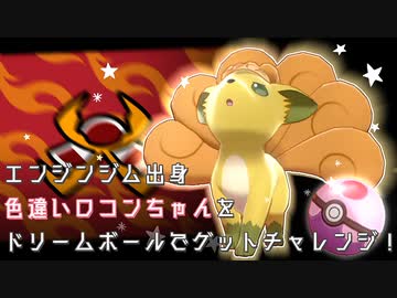 ポケモン剣盾 ドリームボールを携えエンジンジムの色違いロコンちゃんに会いに行く ゆっくり実況 ニコニコ動画