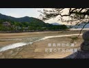 初夏の干潟　厳島神社大鳥居の内側「かわいい磯の生き物たち」　R3／５