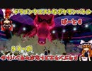 【ゆっくり実況】ドラゴンクエストなポケモンバトル　♯part6【ポケモン剣盾】